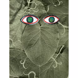 ISBN Hoja Santa, Français, 148 pages