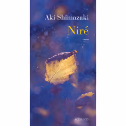 ISBN Niré, Français, 144 pages