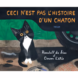 ISBN Ceci n'est pas l'histoire d'un chaton, Français, 48 pages