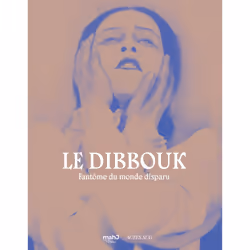 ISBN Le dibbouk, fantôme du monde disparu, Français, 240 pages