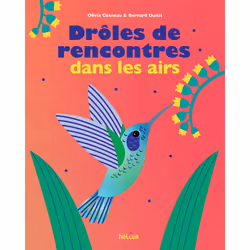 ISBN Drôles de rencontres dans les airs, Français, 20 pages