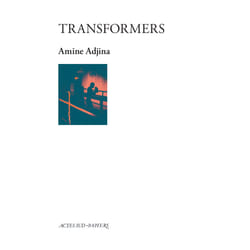 ISBN Transformers