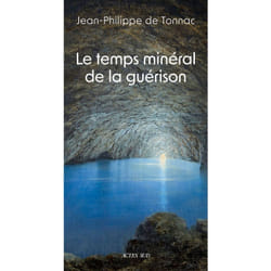 Actes Sud Le temps minéral de la guérison livre Essai Français Livre broché 208 pages