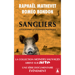 Actes Sud Sangliers livre Littérature Français Livre broché 208 pages