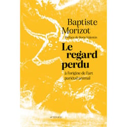 Actes Sud Le regard perdu livre Essai Français Livre broché 272 pages