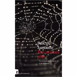 ISBN 9782348065101, Français, Livre broché, 306 pages