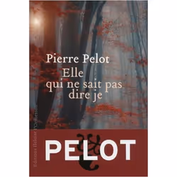 ISBN 9782350872452, Français, Livre broché, 301 pages