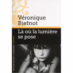 ISBN 9782350872520, Français, Livre broché, 317 pages