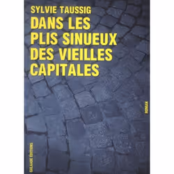 ISBN Dans Les Plis Sinueux Des Vieilles Capitales, Littérature, Français
