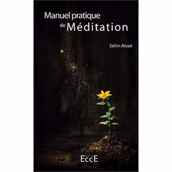 ISBN Manuel Pratique De Meditation, philosophie, Français