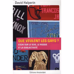ISBN Que Veulent Les Gays ? Essai Sur Le Sexe, Le Risque Et La Subjectivite, société, Français, Livre broché