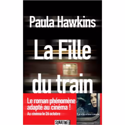 ISBN 9782355843136, Français, Livre broché, 384 pages