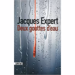 ISBN 9782355843167, Français, Livre broché, 336 pages