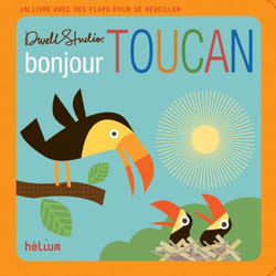 ISBN Bonjour, Toucan