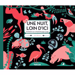 ISBN Une nuit, loin d'ici, Français, 40 pages