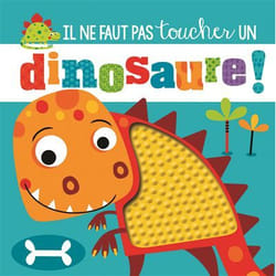 Auzou Il Ne Faut Pas Toucher Un Dinosaure !