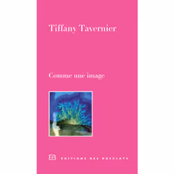 ISBN Comme une image, Français, 128 pages