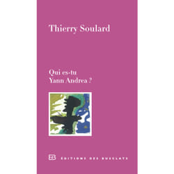 Qui es-tu, Yann Andréa ?