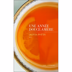ISBN 9782365695206, Français, Livre broché, 352 pages