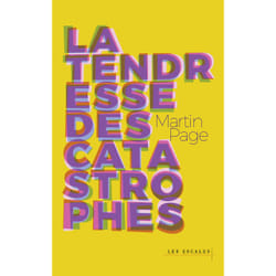 ISBN La Tendresse des catastrophes : Le livre de Martin Page