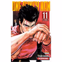 ISBN 9782368525562, Français, 208 pages