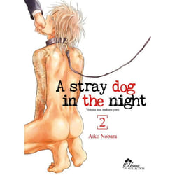 Stray Dog in the night - Tome 02 - Livre (Manga) - Yaoi - Hana Collection