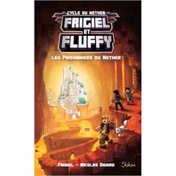 ISBN 9782375540190, Français, Livre broché, 300 pages