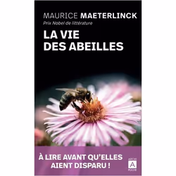 ISBN 9782377353880, Français, 240 pages