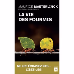 ISBN 9782377354092, Français, 192 pages