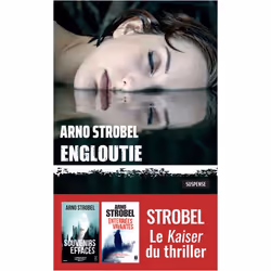 ISBN 9782377354757, Français, 300 pages