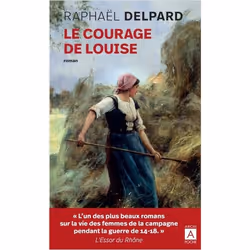 ISBN 9782377355006, Français, 312 pages