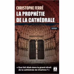 ISBN 9782377358267, Français, 408 pages