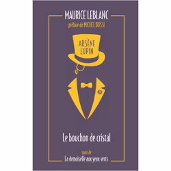 ISBN 9782377359516, Français, 480 pages