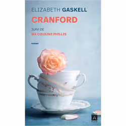 ISBN 9782377359608, Français, 360 pages