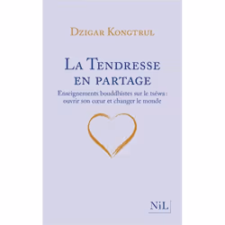 ISBN 9782378910587, Français, Livre broché, 176 pages