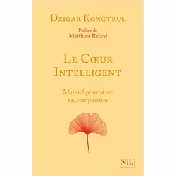 ISBN 9782378911195, Français, Livre broché, 368 pages