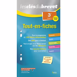 ISBN Tout-En-Fiches - 3Ème, Anglais, 400 pages