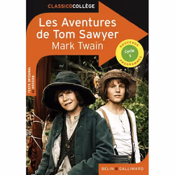 ISBN Les Aventures De Tom Sawyer, Français, 384 pages