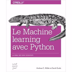 ISBN 9782412034460, Français, Livre broché, 384 pages