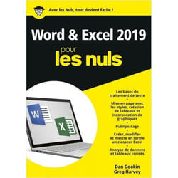 Word et Excel 2019 Mégapoche Pour les Nuls (Broché)