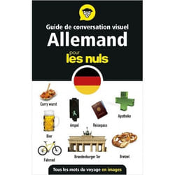 Guide De Conversation Visuel Allemand Pour Les Nuls