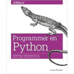 Programmer Avec Python