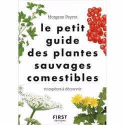 ISBN 9782412046364, Français, Livre broché, 160 pages
