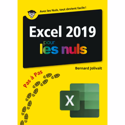 ISBN Excel 2019 pour les nuls Pas à Pas : Le livre de Bernard Jolivalt, Computer science, 252 pages