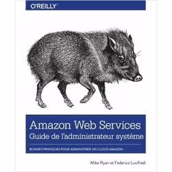 ISBN 9782412046586, Français, Livre broché, 384 pages