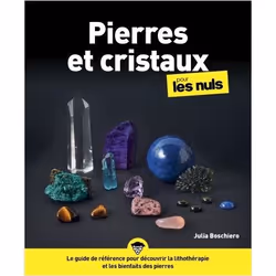 ISBN 9782412048290, Français, Livre broché, 384 pages