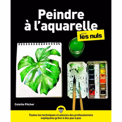 ISBN Peindre à l'aquarelle pour les nuls : Le livre de Colette Pitcher, métier & loisirs, 480 pages