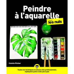 ISBN Peindre à l'aquarelle pour les nuls : Le livre de Colette Pitcher