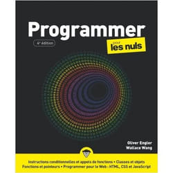 Programmer Pour les Nuls 4e (Broché)