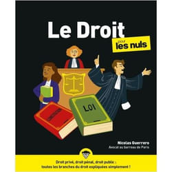 Le Droit Pour Les Nuls Ne